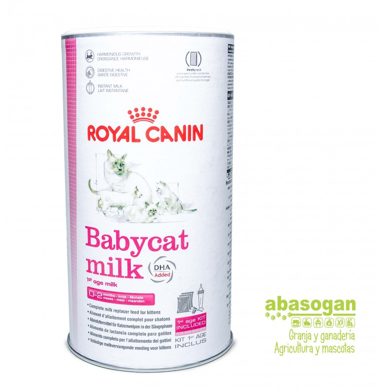 BABY CAT MILK ROYAL CANIN 300GR