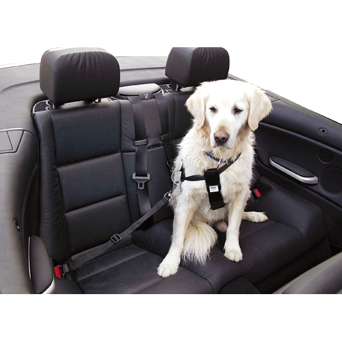 CINTURON DE SEGURIDAD PARA PERROS