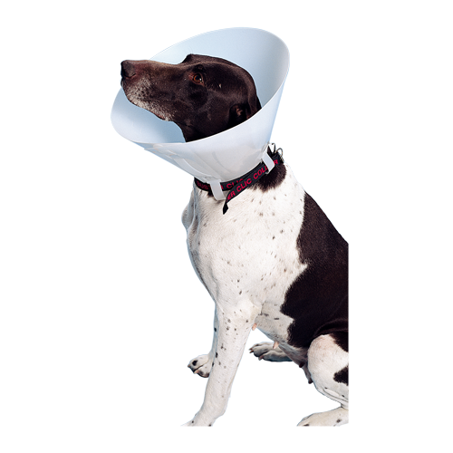 COLLARIN BUSTER CLASICO 
