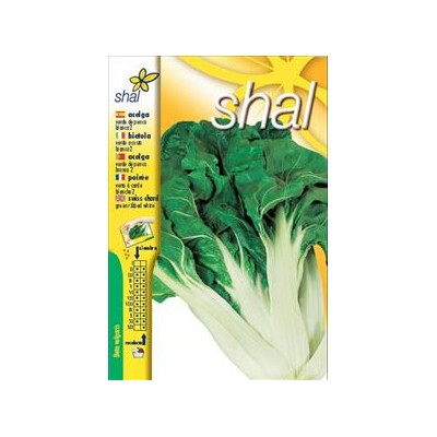 ACELGA VERDE PENCA BLANCA-2 (PRECIO UNIPRECIO)