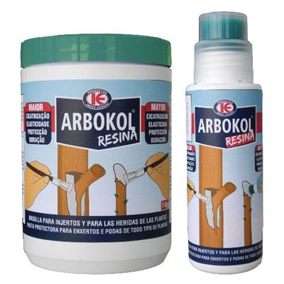 ARBOKOL RESINA 250G