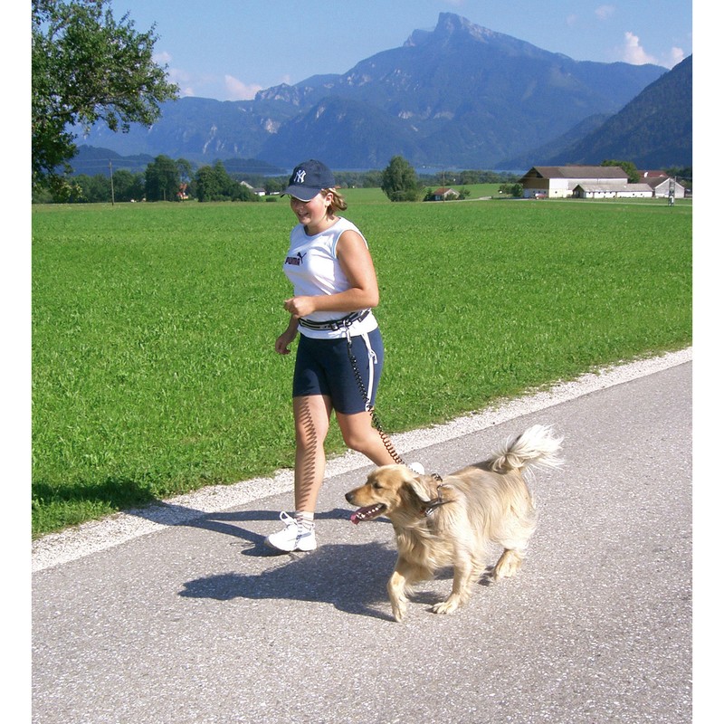 CORREA EXTENSIBLE PARA CORRER CON TU PERRO