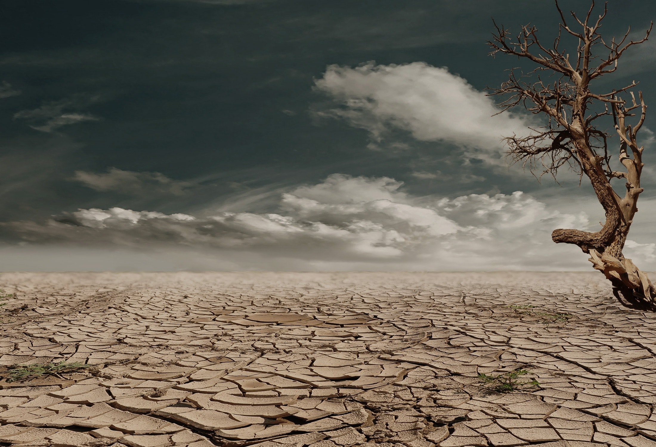 La sequía, una preocupación creciente